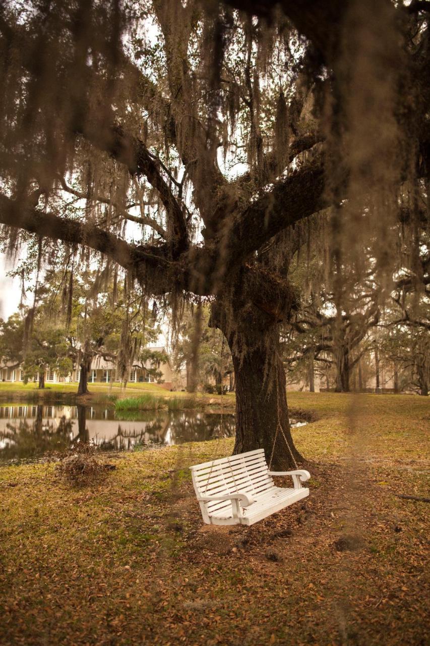 Greenwood Plantation B&B Inn Saint Francisville Exterior foto